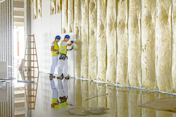 Insulation Contractors for Homes in Surrey, ND